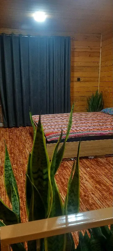 تصویر ۱ - کلبه کلبه کاملا دربست در منطقه ای خوش آب وهوا در ماسال