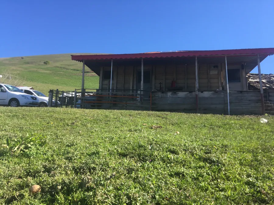 تصویر ۱ - کلبه چوبی جنگلی دریاچه ابر در  ماسال