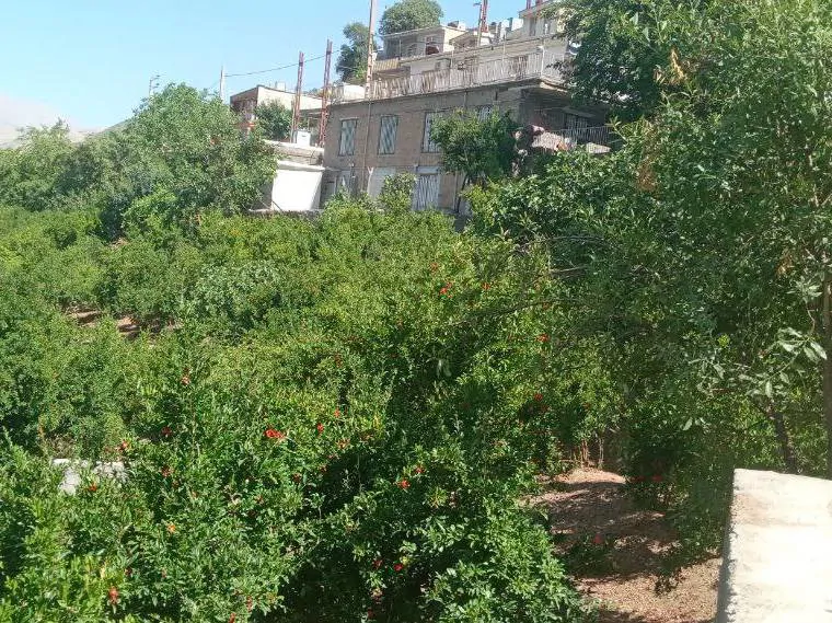 تصویر ۱ - روستایی و عشایری خانه باغ در  پاوه