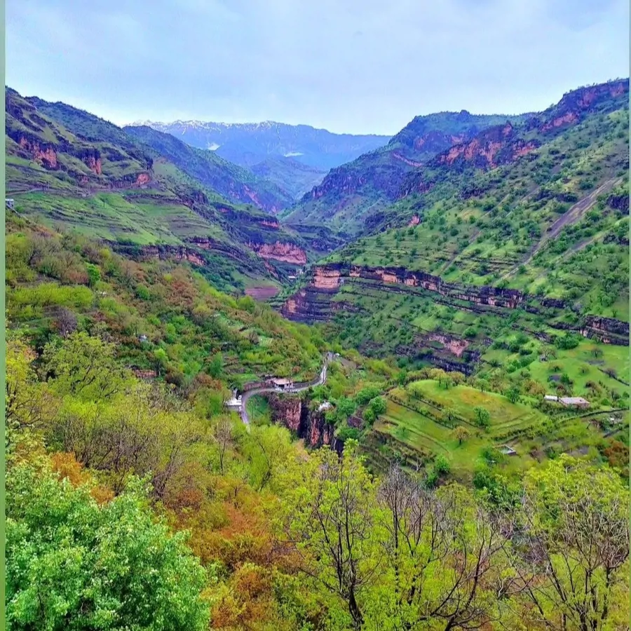 تصویر ۱ - خانه مبله نادری  در  پاوه