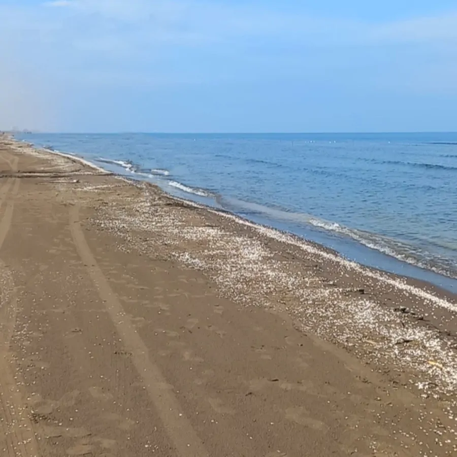 تصویر ۱ - ویلا ساحلی خاطرات شمال  در  زیبا کنار