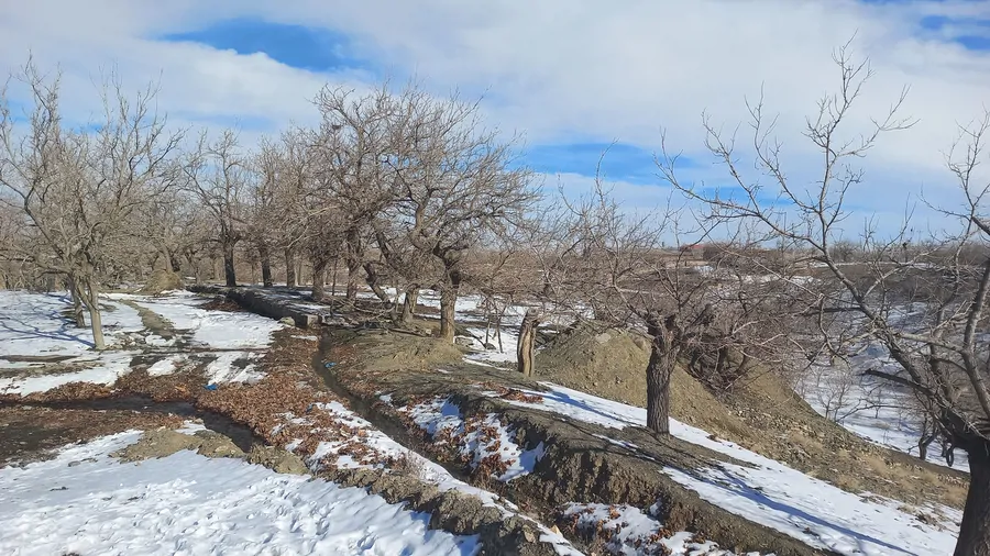 تصویر ۱ - ویلا ویلایی کوهستانی. در  شاندیز