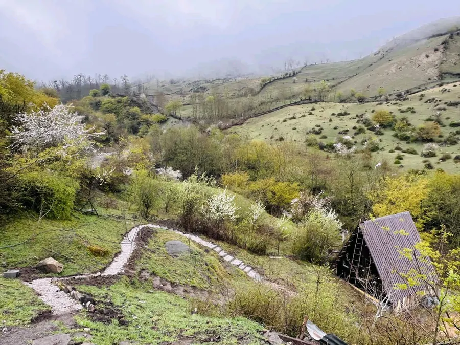 تصویر ۱ - کلبه جنگلی هراز لاویج در چمستان