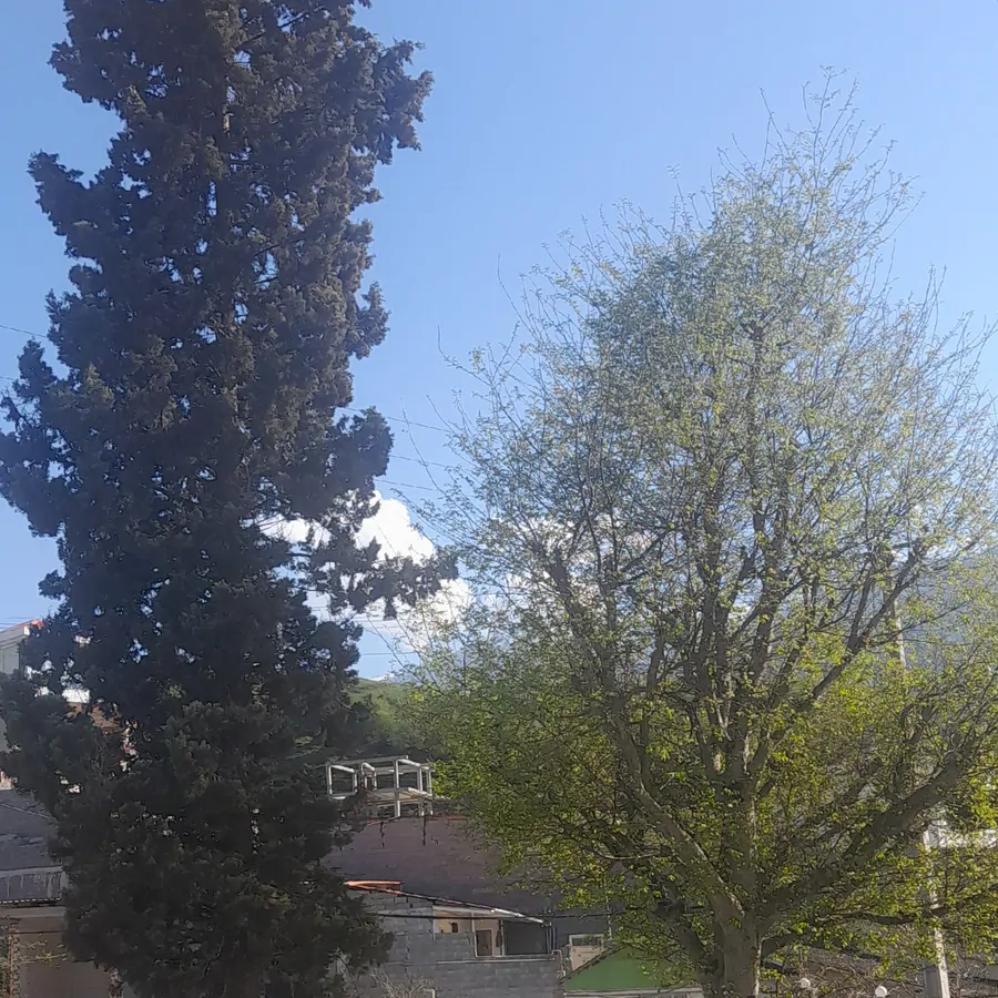 تصویر ۱ - ویلا خانه ویلایی لاویج در  چمستان