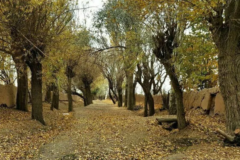 تصویر ۱ - اقامتگاه بوم‌گردی آقا علی در  اراک