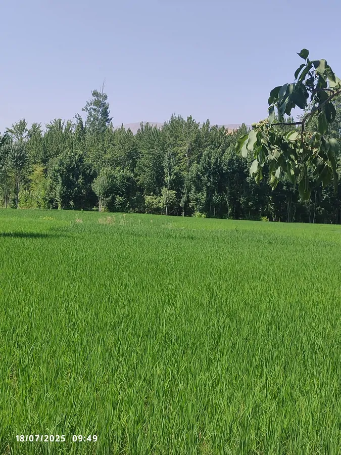 تصویر ۱ - ویلا باغ  ویلای آرامش در  باغ بهادران