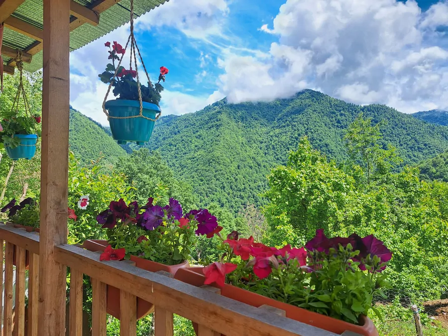 تصویر ۱ - کلبه مهسا  در  ماسال