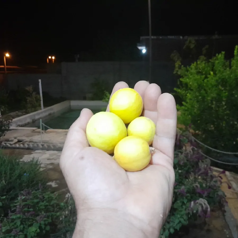 تصویر ۱ - اقامتگاه بوم‌گردی کهن دژ در  دره شهر