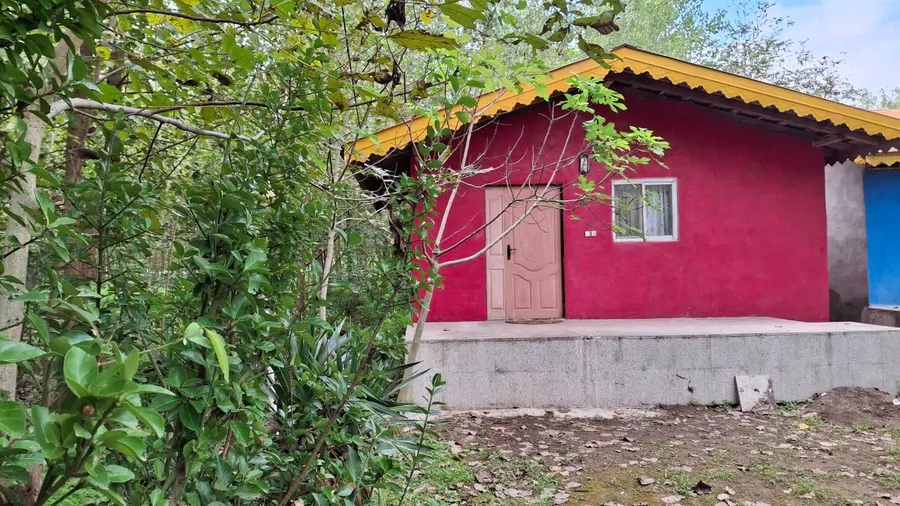 تصویر ۱ - سوییت واحد یک خوابه دلنشین باغ پیچک در رشت