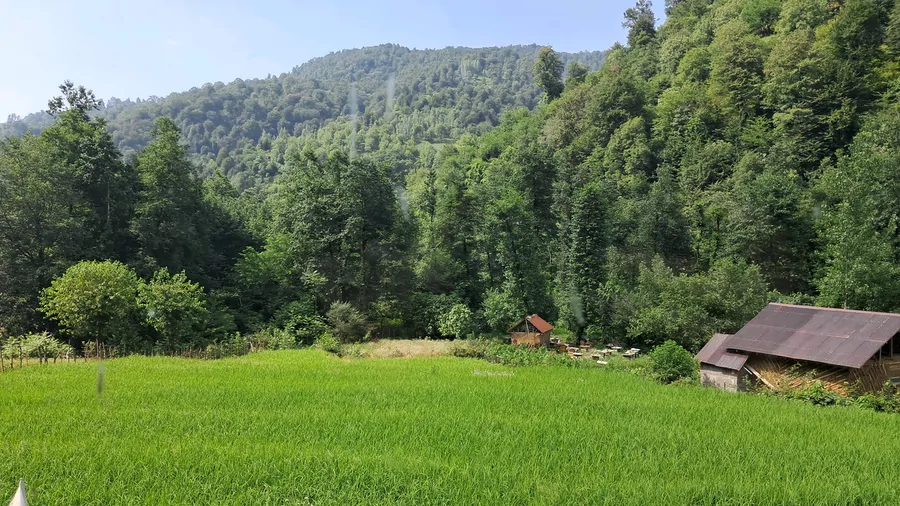 تصویر ۱ - ویلا منظره رو به جنگل و طبیعت شالیزار، باصدای دلنشین رودخانه و سیرسیرک در سیاهکل