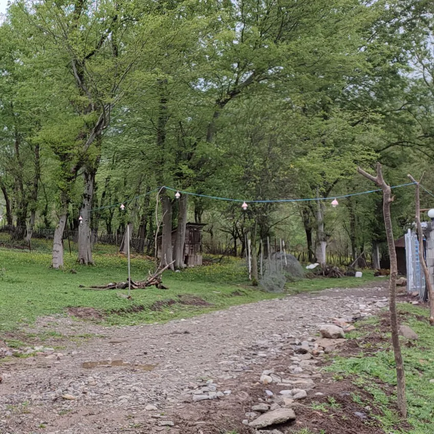 تصویر ۱ - ویلا ویلاطبیعت در  ماسال