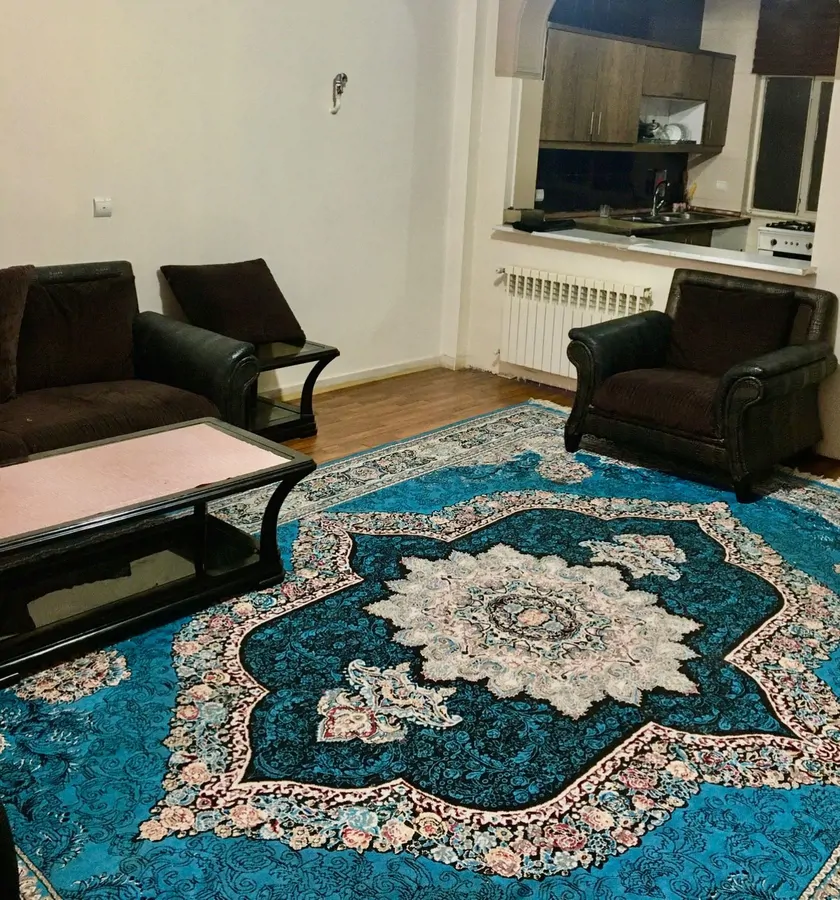 تصویر ۱ - آپارتمان اپارتمان مبله دوخوابه پارکینک دار در  تهران