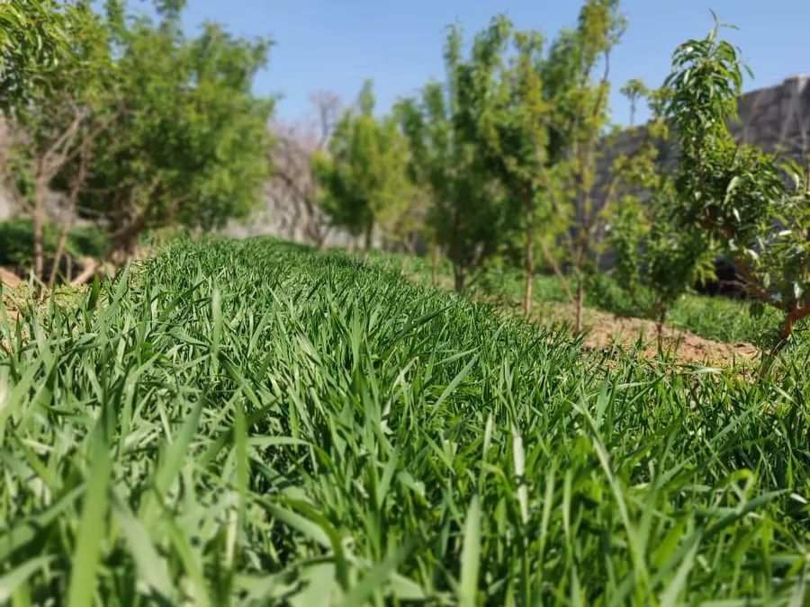 تصویر ۱ - ویلا باغ بیشه در  نجف آباد