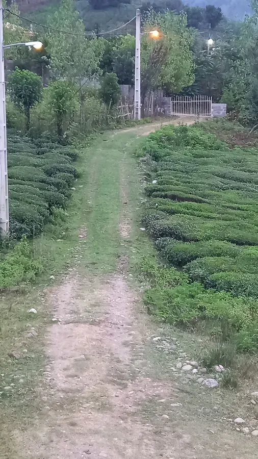 تصویر ۱ - ویلا ویلای جنگلی سام  در  قلعه‌رودخان 