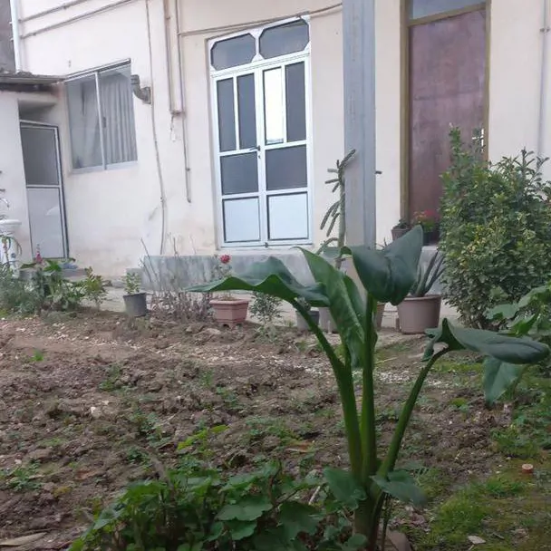 تصویر ۱ - ویلا سره ۲ در  بهشهر