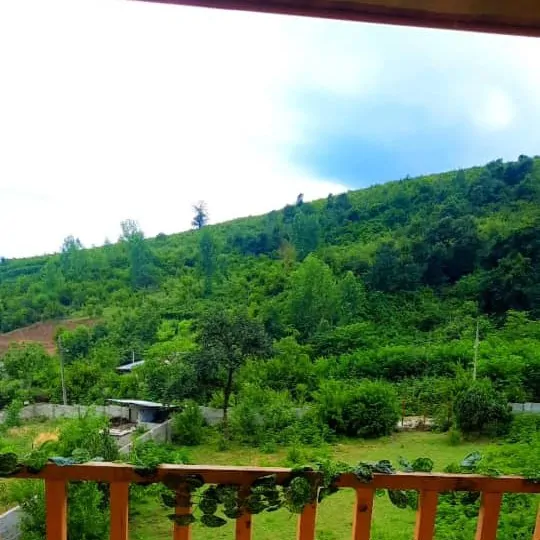 تصویر ۱ - خانه ویلا شالکه در  ماسال