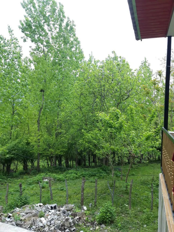 تصویر ۱ - سوییت ویلایی هفت آبشار در بابل