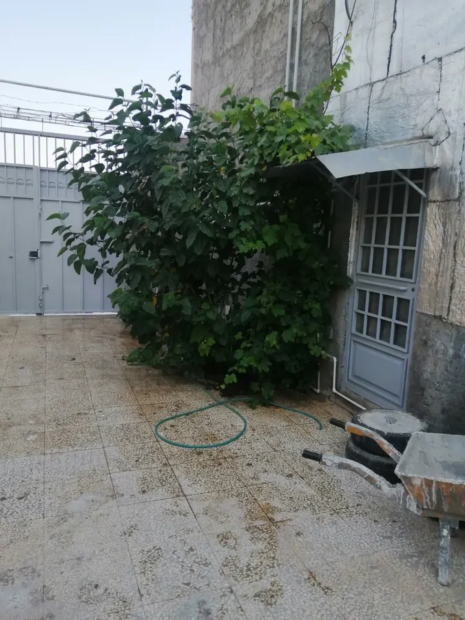 تصویر ۱ - سوییت ویلایی آفتاب شرق در  گالیکش