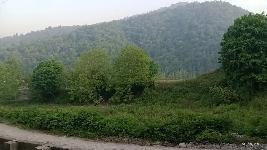 تصویر ۱ - ویلا بومگردی ساجدی در  لفور