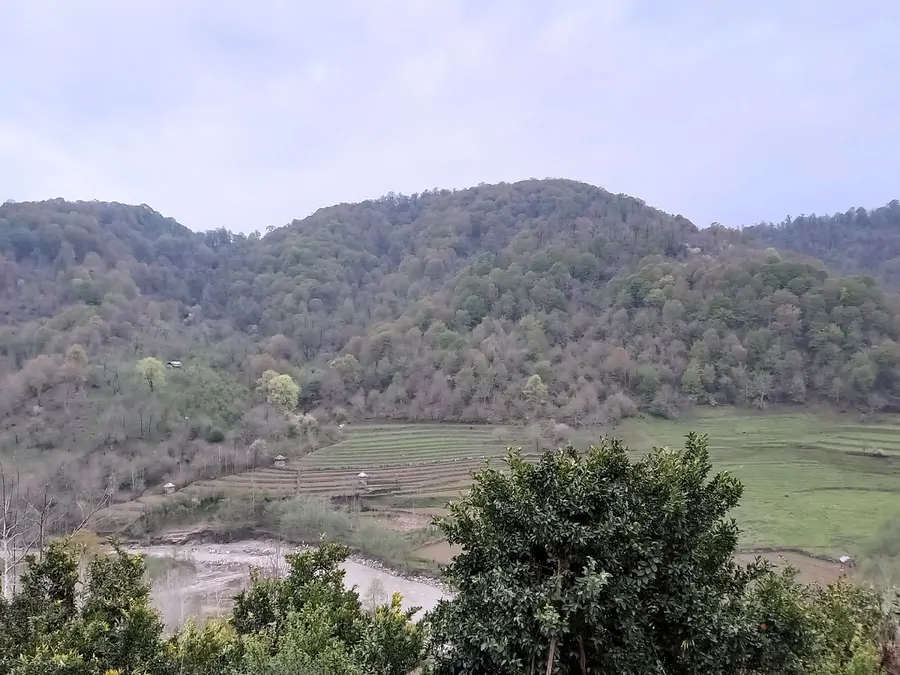 تصویر ۱ - آپارتمان بهشت گمشده در شیرگاه