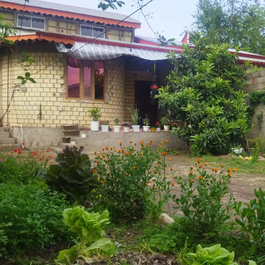 تصویر ۱ - ویلا امیر در  ماسال