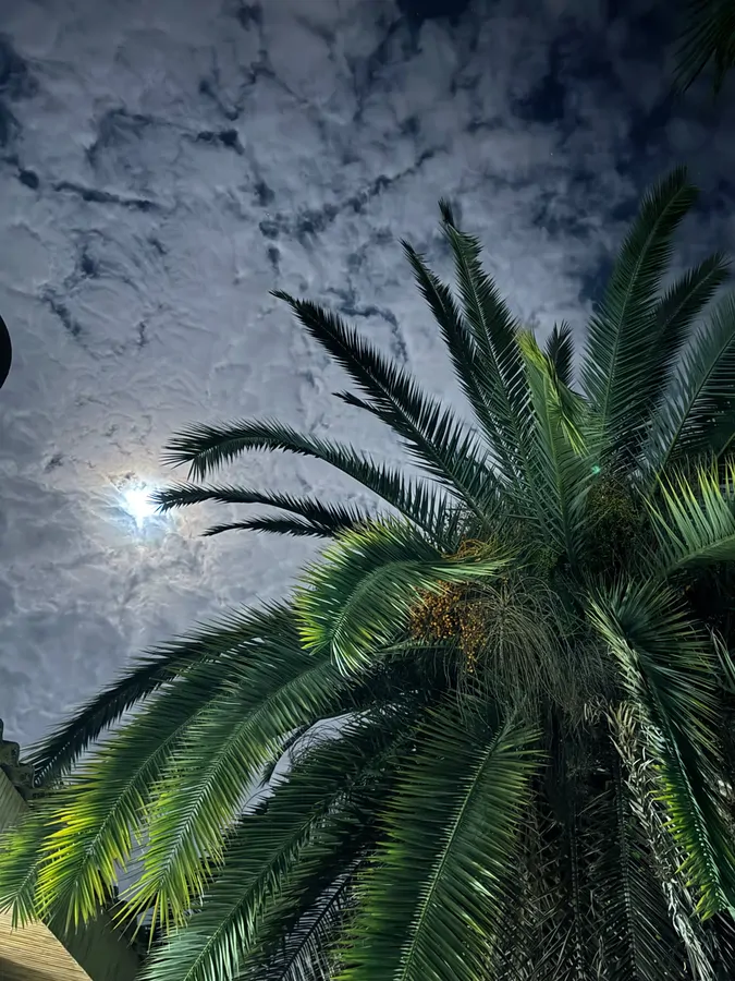 تصویر ۱ - ویلا ویلا باغ متل قو دریاگوشه در متل قو