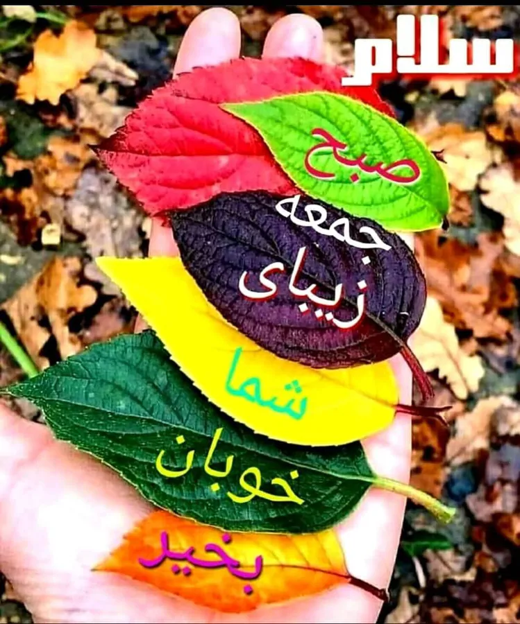 تصویر ۱ - کلبه کلیه سرخپوست در  بابل