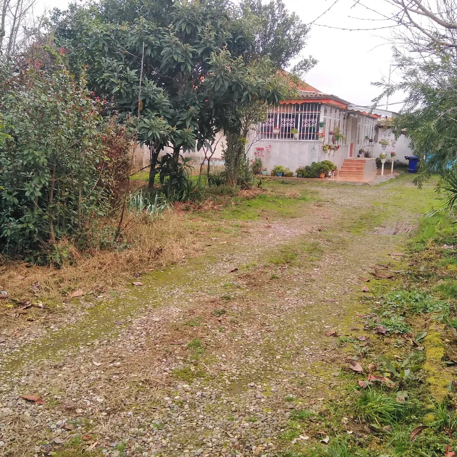 تصویر ۱ - روستایی و عشایری باغ  فلاحت  در  صومعهسرا