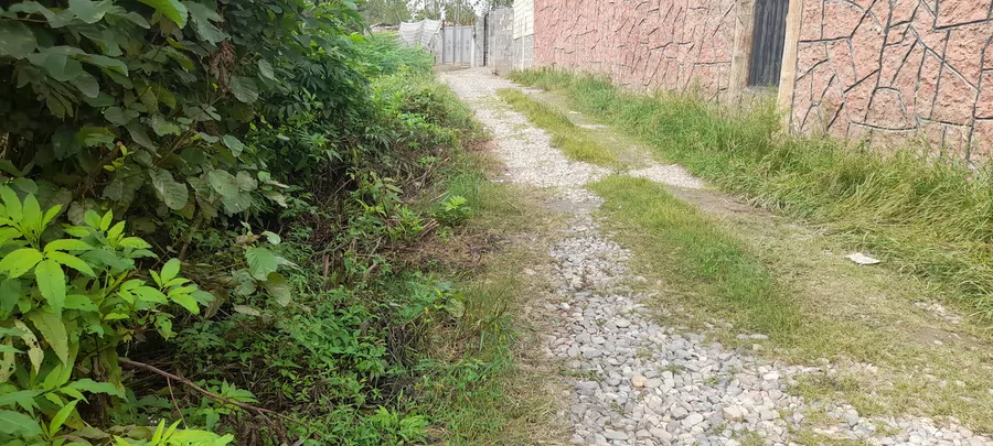 تصویر ۱ - ویلا ماه شب در  فومن