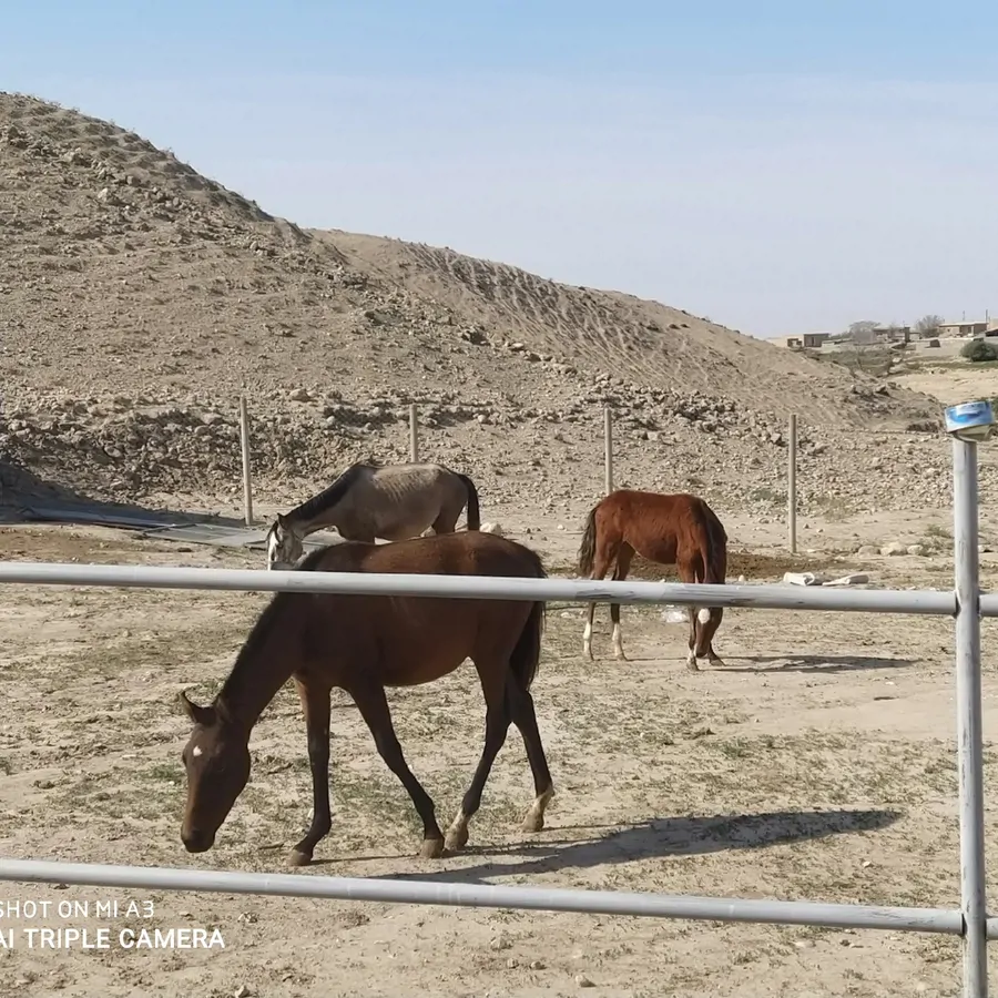 تصویر ۱ - اقامتگاه بومگردی آتلان یورت در مراوه تپه