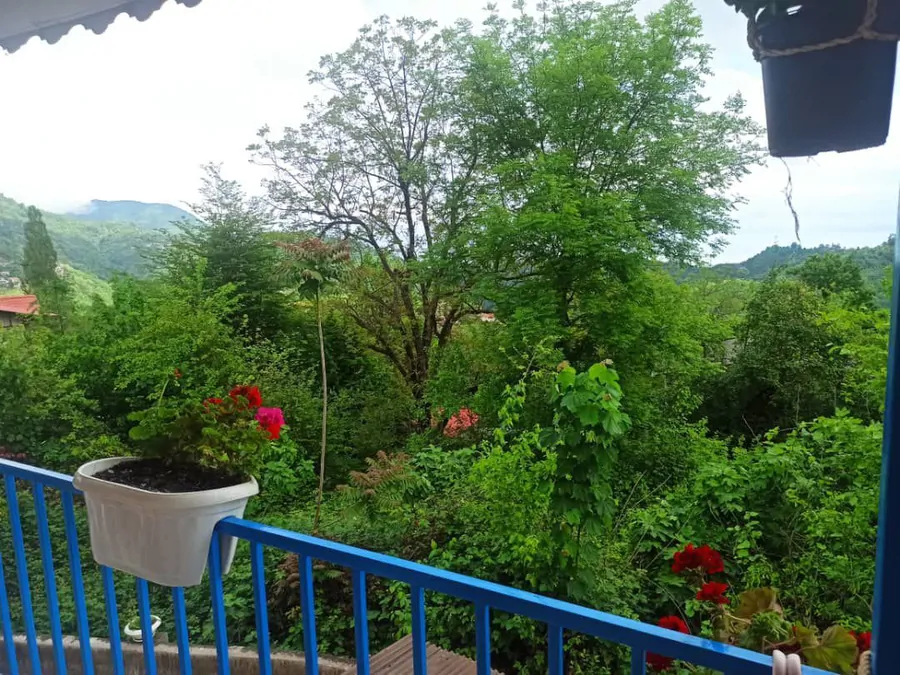 تصویر ۱ - کلبه کلبه ی جنگلی با جکوزی پامچال 3 در  رامسر