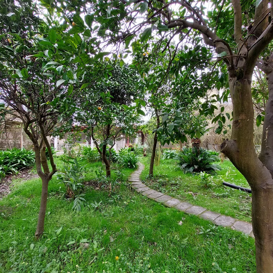 تصویر ۱ - ویلا غیر فعال در  متل قو