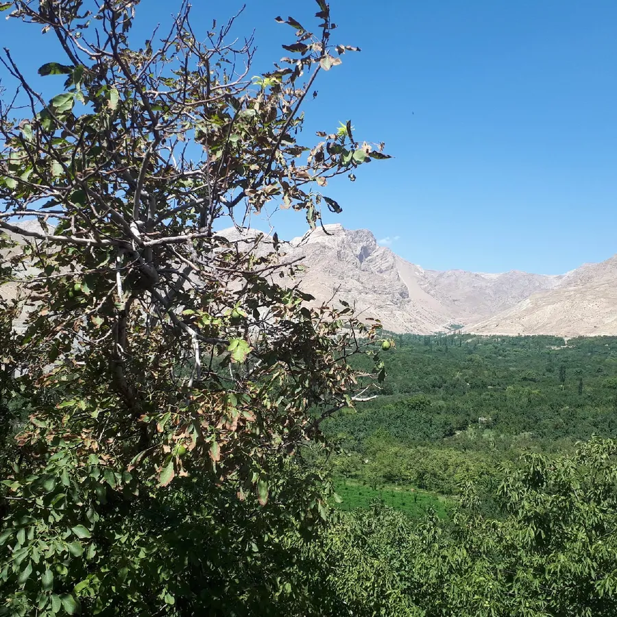 تصویر ۱ - ویلا ویلا  در  نیشابور