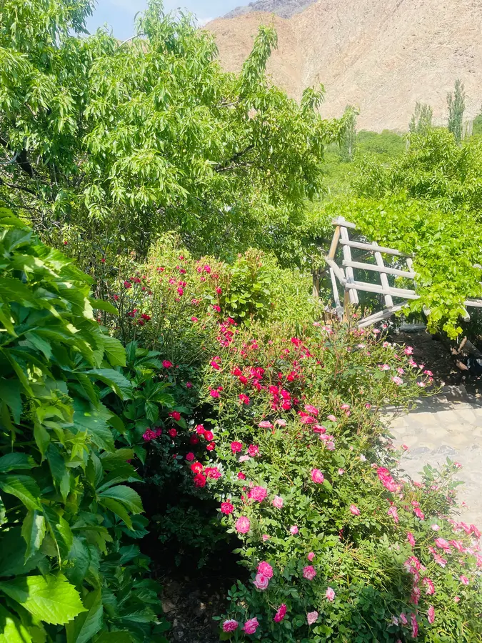 تصویر ۱ - خانه ویلایی حبیب (شاهنشین) در  برزک
