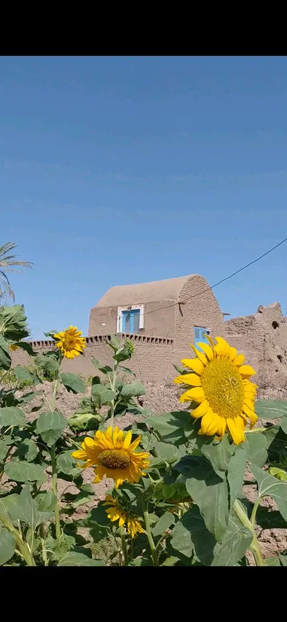 تصویر ۱ - ویلا بومگردی کاخگِل در دامغان