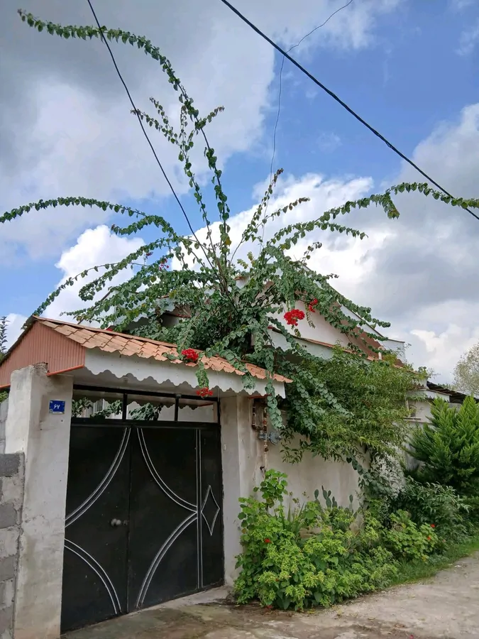 تصویر ۱ - ویلا نقلی در رشت