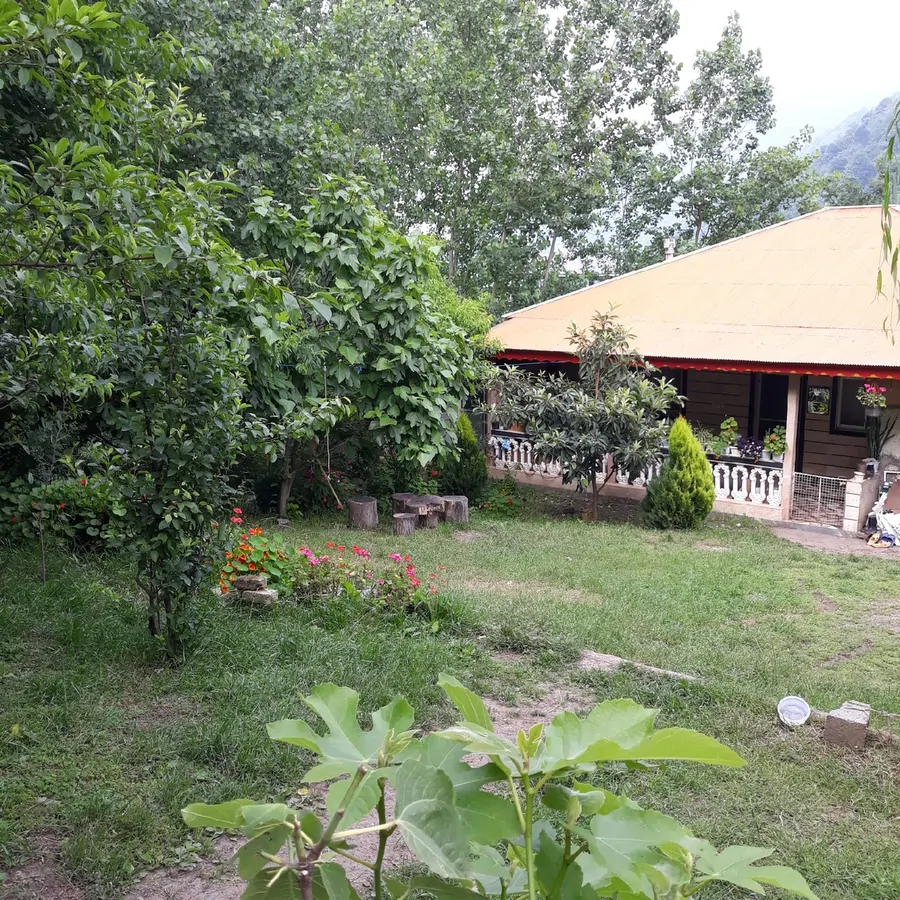 تصویر ۱ - ویلا جنگلی مبله سیما در  ماسال