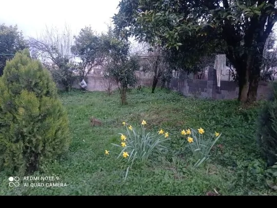 تصویر ۱ - ویلا خانه ویلایی جای سرسبز در  رضوانشهر