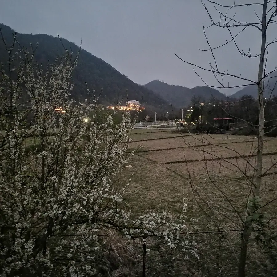 تصویر ۱ - ویلا جنگل در  چابکسر