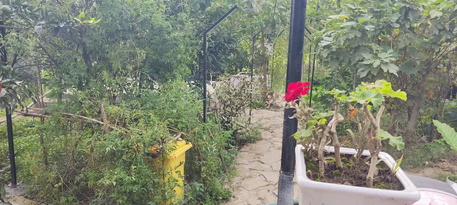 تصویر ۱ - ویلا ریکا جان در رودسر