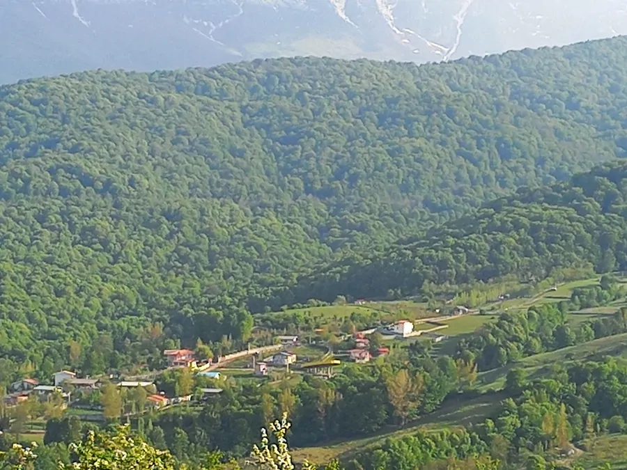 تصویر ۱ - ویلا مجموعه گردشگری چوب فریم در  ساری
