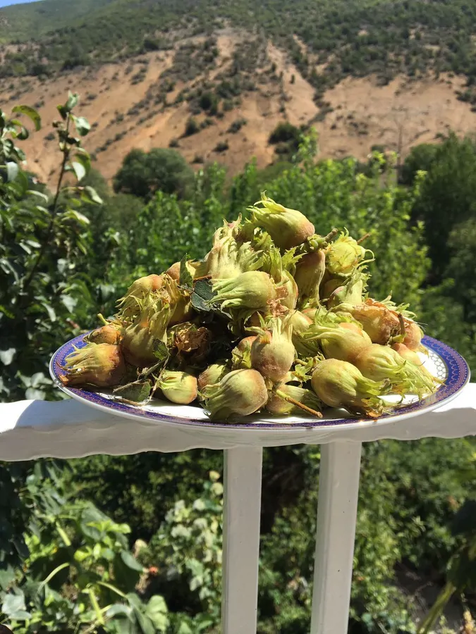 تصویر ۱ - روستایی و عشایری ویوو عالی در  دیلمان