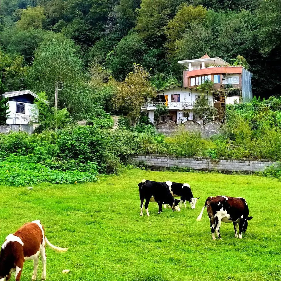 تصویر ۱ - ویلا سی بِن کنار جنگل با جکوزی  در  شیرگاه