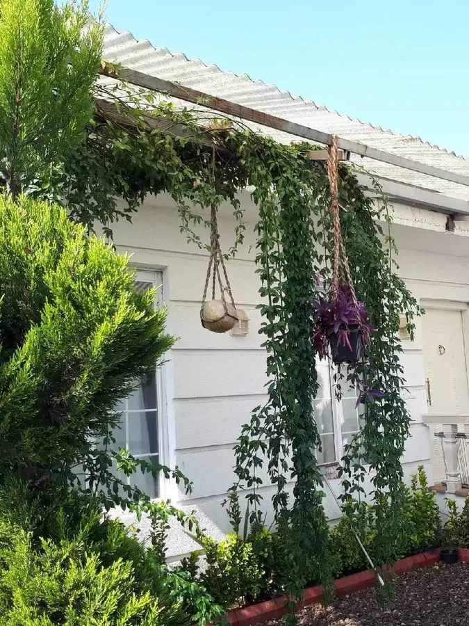 تصویر ۱ - ویلا مهرشاد در  زیبا کنار