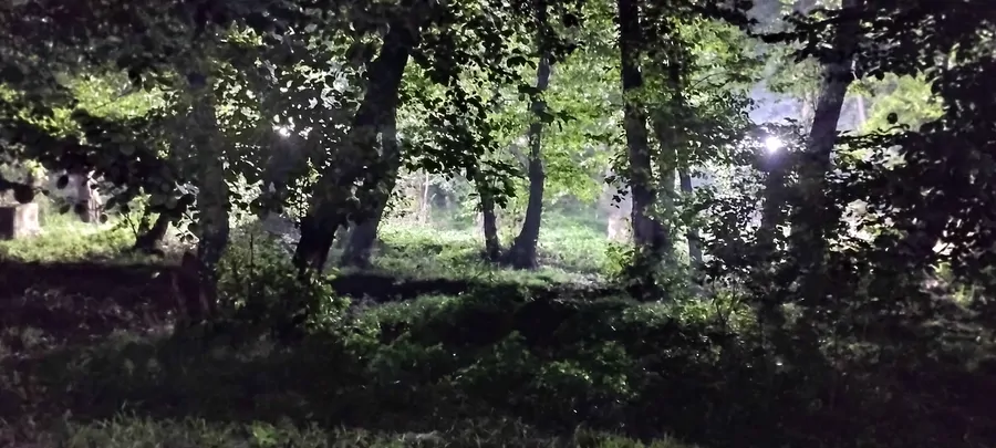 تصویر ۱ - ویلا خانه ویلایی در  رشت