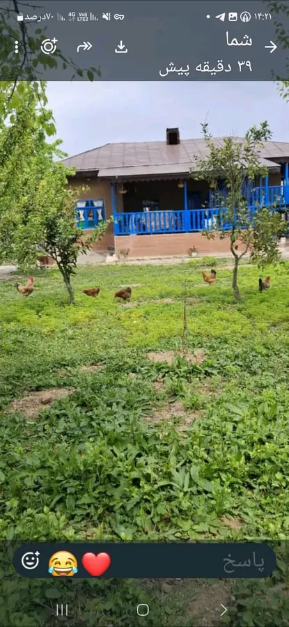 تصویر ۱ - کلبه بوم گردی دنج در رضوانشهر