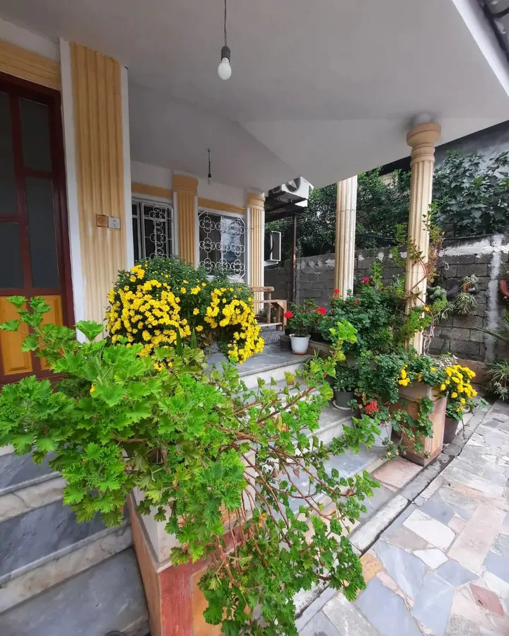 تصویر ۱ - ویلا گلباغ ریحانه در رامسر