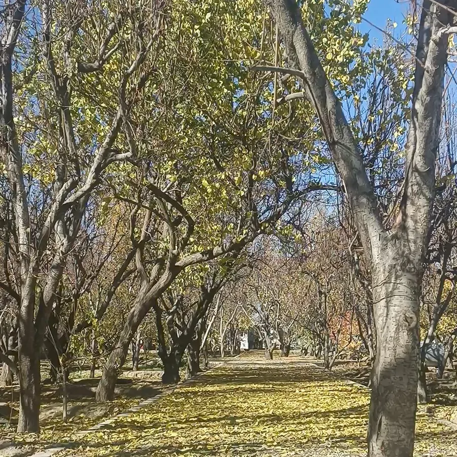 تصویر ۱ - روستایی و عشایری باغ ویلا در  شهریار