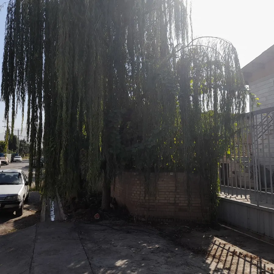 تصویر ۱ - سوییت کلبه دنج در  علی آباد کتول