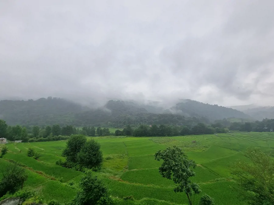 تصویر ۱ - کلبه ویلا سوئیسی آلفا در لفور در  شیرگاه